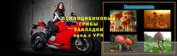 ECSTASY Осинники
