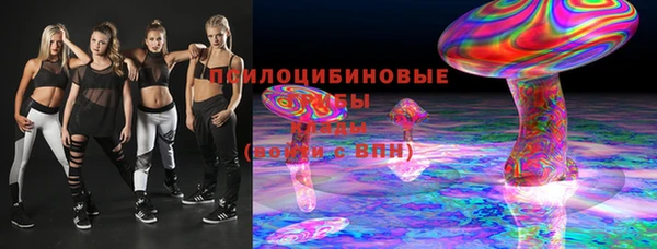 гашик Няндома
