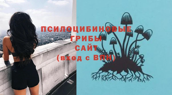бошки Осташков