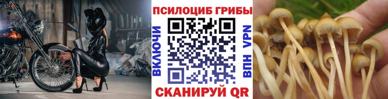 Галлюциногенные грибы Magic Shrooms  где продают наркотики  Бирюч 